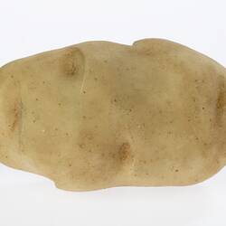 Light brown wax potato model.