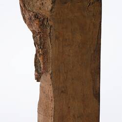 Irregularly shaped timber sample. Profile.