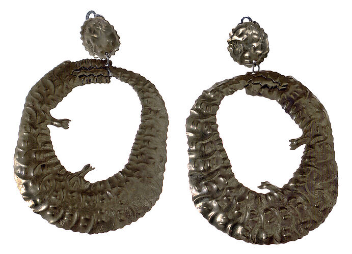 Pair of Earrings - Mock Croc