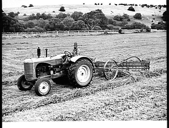 Photograph Hv Mckay Massey Harris Farm Equipment Manufacture And Field Trials Bacchus Marsh