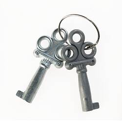 Pair of silver metal keys on a ring. Three loops on top of each key.