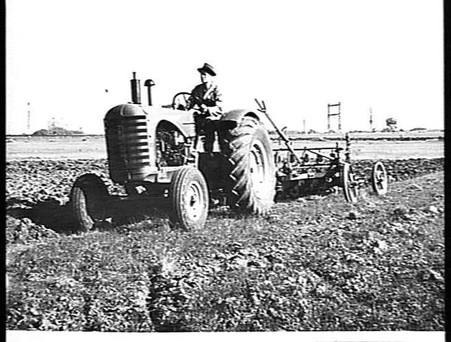 SUNSHINE MASSEY HARRIS 44K TRACTOR AND 6-FURROW SUNVERTICAL STUMP JUMP DISC PLOUGH IN BRICK-HARD SOIL AT ALBION, VIC. JUNE 1947.