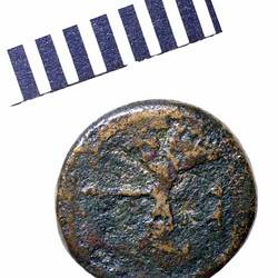 Coin - Semuncia, Arretium, Etruria, Italy,  circa 208 BC