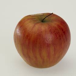 Red wax apple model.