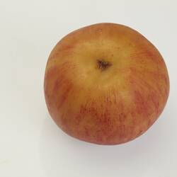 Wax model of red apple.