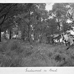 Photograph - 'Embowered in Bush', by A.J. Campbell, Lysterfield, Victoria, 1903