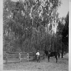 Photograph - by A.J. Campbell, Echuca, Victoria, circa 1893