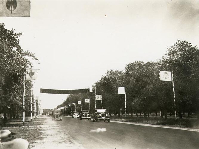 Photograph - Avenue of Honour, Ballarat, 1938