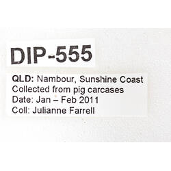 Specimen labels.