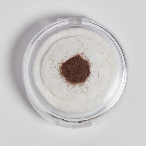 Plastic container with brown horse hair.