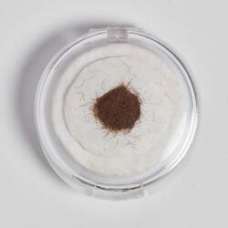 Sample of Horse Hair - Phar Lap, 1931