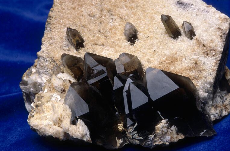 Cream-coloured rock with dark crystals on one side.