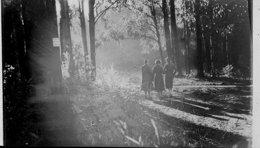 Lantern Slide - Sherbrooke, Victoria, 1941