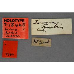 Hand written specimen labels.