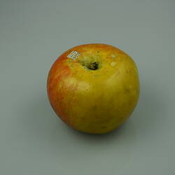Apple Model - Whatmough's King of The Pippins, Greensborough, 1875