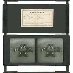 Set of Glass Slides - Kromskop Viewer Set, Kromogram, Four Butterflies, About 1895