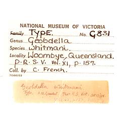 Hand written specimen labels.