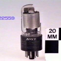Electronic Valve - AWV, Pentode, Type 6AC7GT, circa 1943