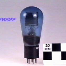 Blue glass bulb with five pin base.