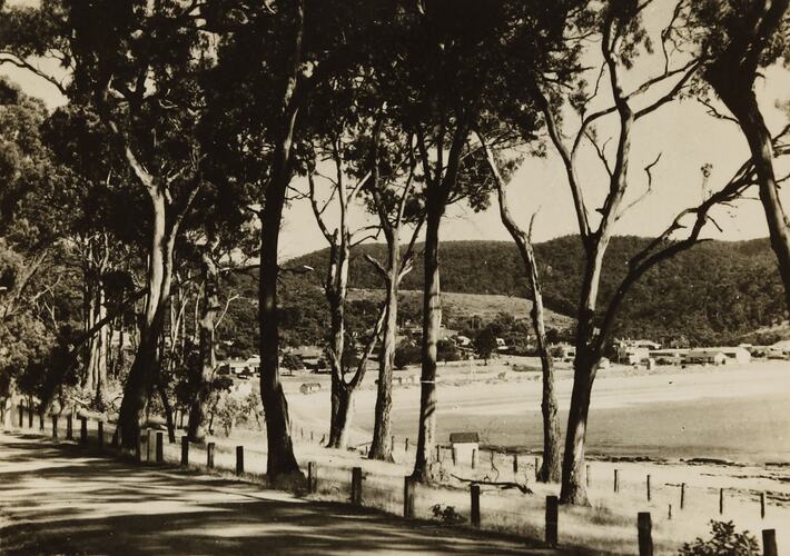 Photograph - Coastal Landscape, Lorne, Victoria, 1930s