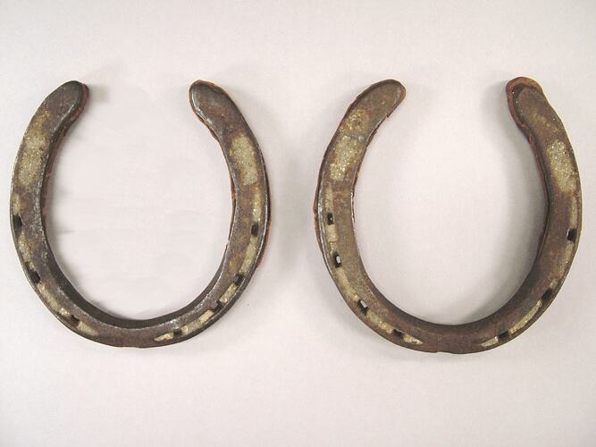 A pair of steel horse shoes.