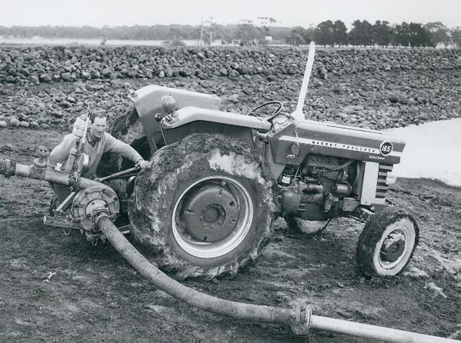 Photograph Massey Ferguson, MF165 Tractor & Spray Irrigation