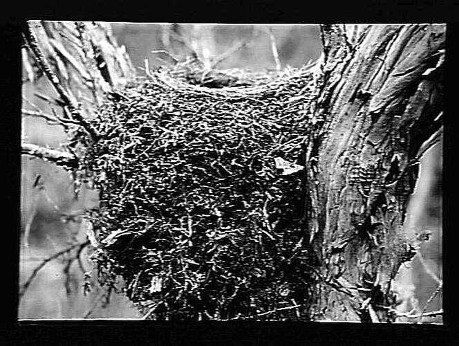Negative - Glass