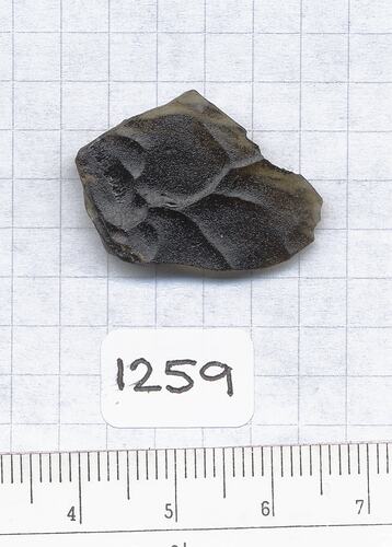 Fragment of black tektite.