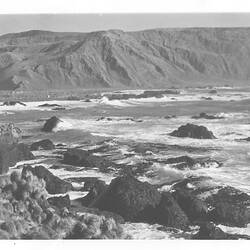 Photograph - Macquarie Island, 1960 (damaged)