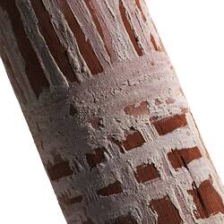 Shield, Australia, West Cape York