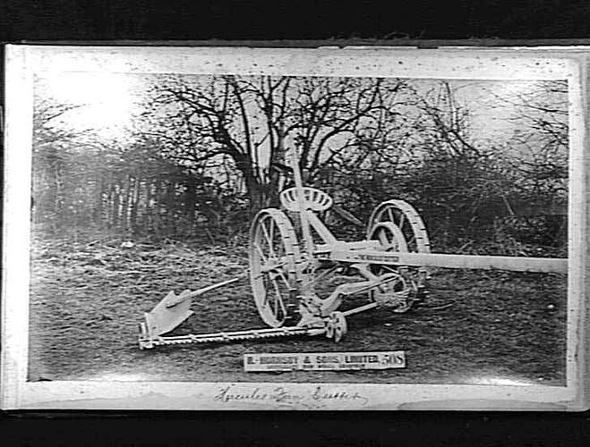 Photograph