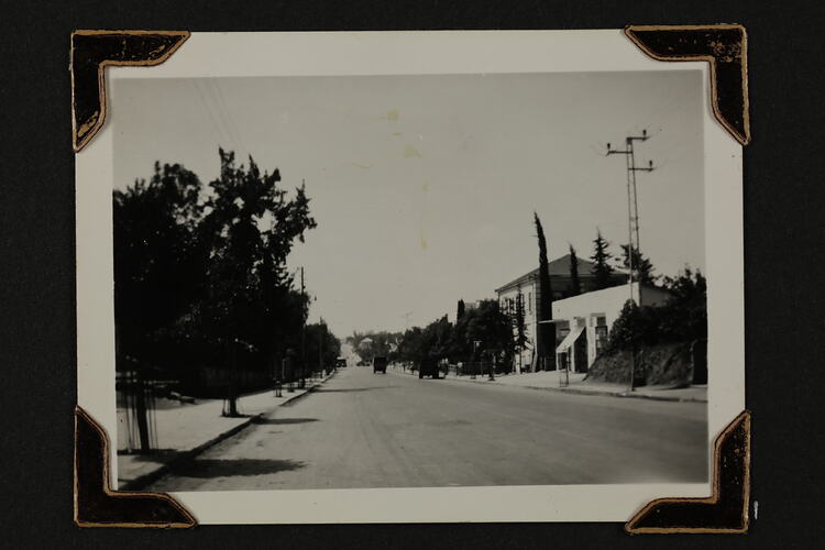 Street with buildings on right and row of trees on left.