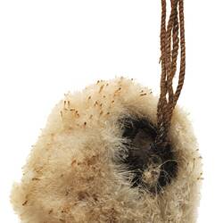 Ornament, neck, Australia, North