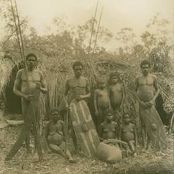 Photograph. Rainforest, Queensland, Australia. 1890