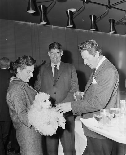 Australian Wool Board, Group With Dog, Melbourne, Victoria, 11 Aug 1959