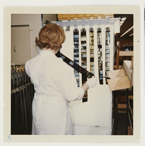 Reviewing Negatives on Light Box, Building 20, Kodak Factory, Coburg, circa 1960s