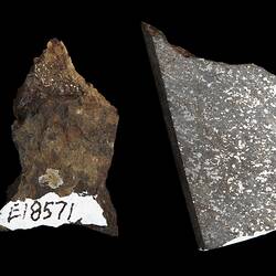 Gilgoin Meteorite. [E 18571]