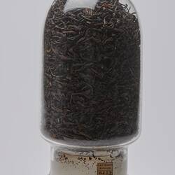 Tea Sample - Camellia sinensis, Chinese, Panyong Grade, pre 1914
