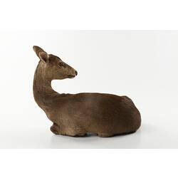 Taxidermied deer specimen mounted lying down.