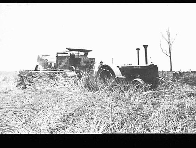 HEADER IN DOWN CROP OF WHEAT IN MR A.H.BICKFELD' FARM DURI NTH, TAMWORTH N.S.W.