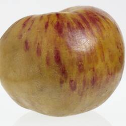 Wax model of an apple with a short stem, painted yellow and red.
