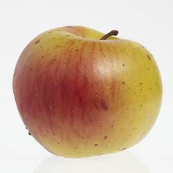 Wax model of an apple painted yellow and red. Has brown stem.