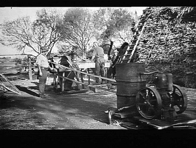 5 H.P. SUNSHINE ENGINE & NO. 4 AX CHAFF CUTTER AT WORK ON MR. W.A. SUTHERLAND'S FARM, MULLOWA, W.A.: MARCH 1933