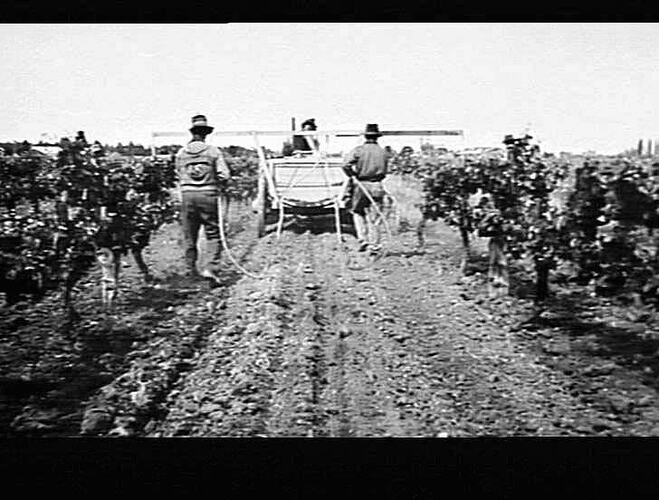 `CHALLENGER' TRACTOR WITH POWER PUMP: MANSELL BROS., MILDURA: OCT 1939