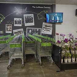 Digital Photograph - Sanitised Trolleys, LaManna Supermarket, Essendon Fields, 11 Jun 2020