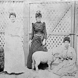 Negative - Annie, Susie & Mary Robertson, Coburg, Victoria, circa 1895