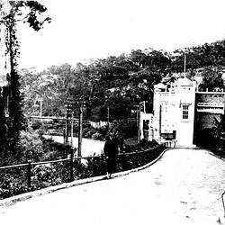Negative - Taronga Park, New South Wales, circa 1934