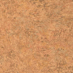 Wall Paper Sample