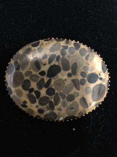 Oval stone brooch with irregular multi-coloured grey spots.