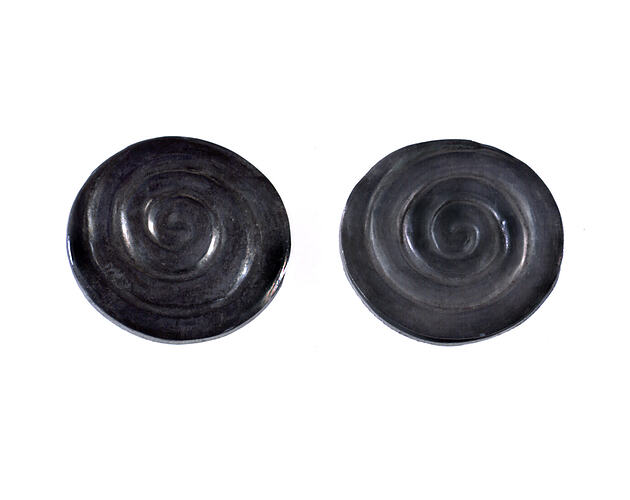 Pair of Earrings - Coils